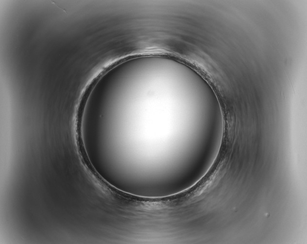 X0000094331422200711021401