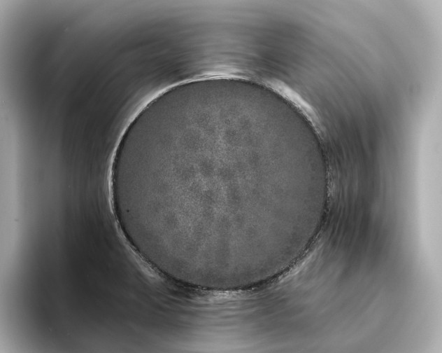 X0000094331423200711021401