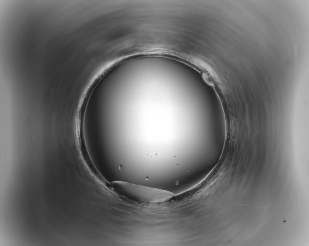 X0000094331424200711021401