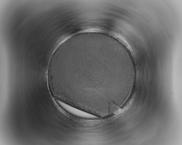 X0000094331425200711021401