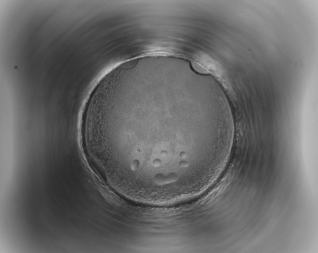 X0000094331427200711021401