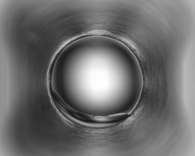X0000094331430200711021402