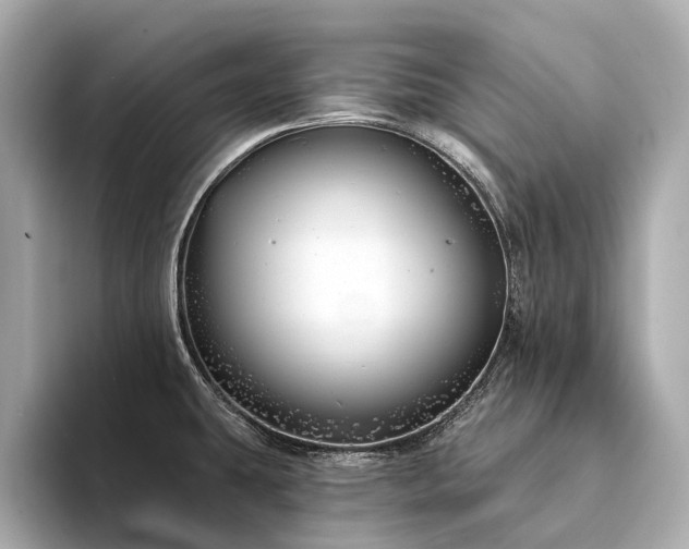 X0000094331431200711021402