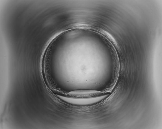 X0000094331435200711021402