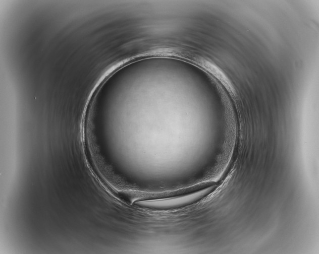 X0000094331436200711021402