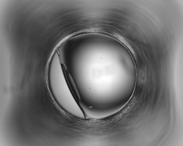 X0000094331437200711021402
