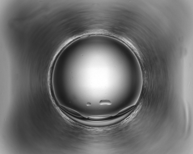 X0000094331438200711021402