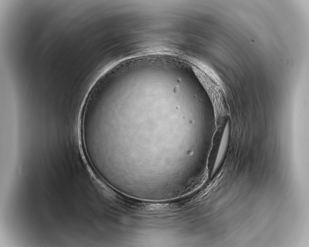 X0000094331439200711021402