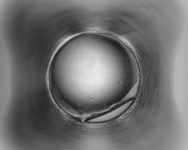 X0000094331440200711021402