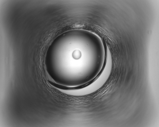 X0000094331441200711021401
