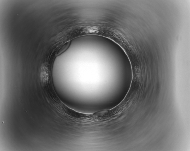 X0000094331442200711021401