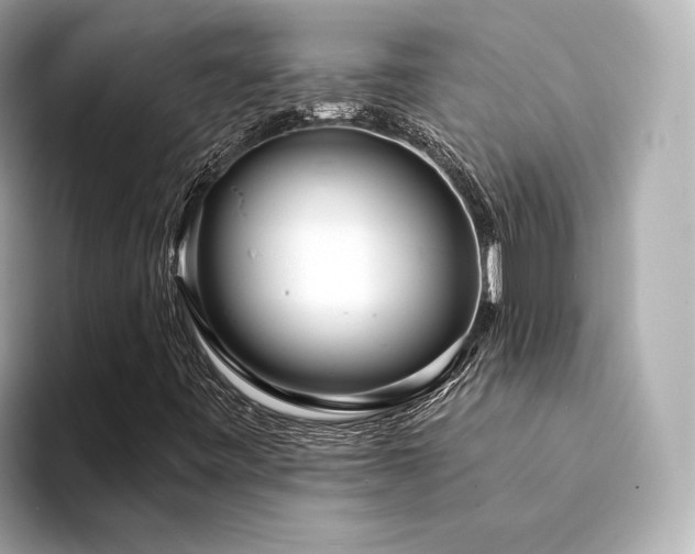 X0000094331443200711021401