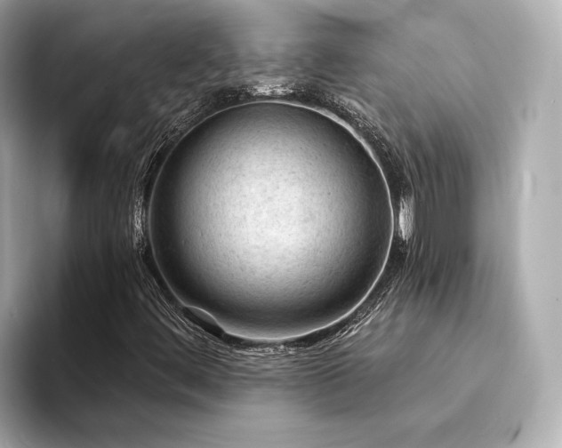X0000094331444200711021401