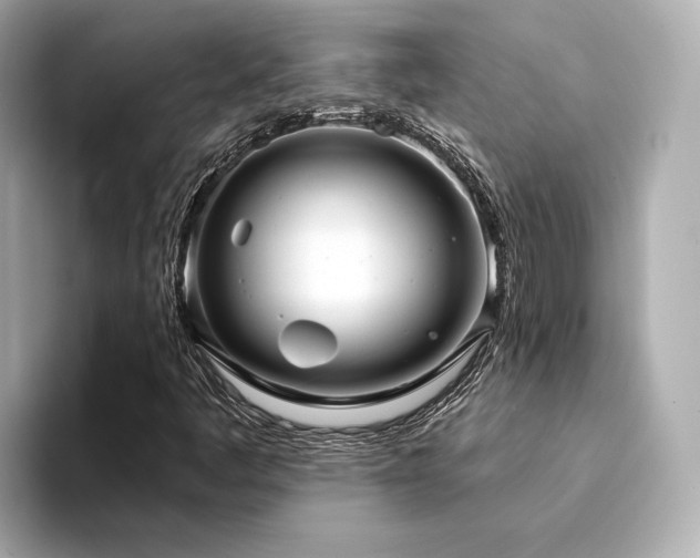 X0000094331445200711021401