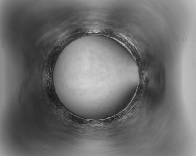 X0000094331446200711021401