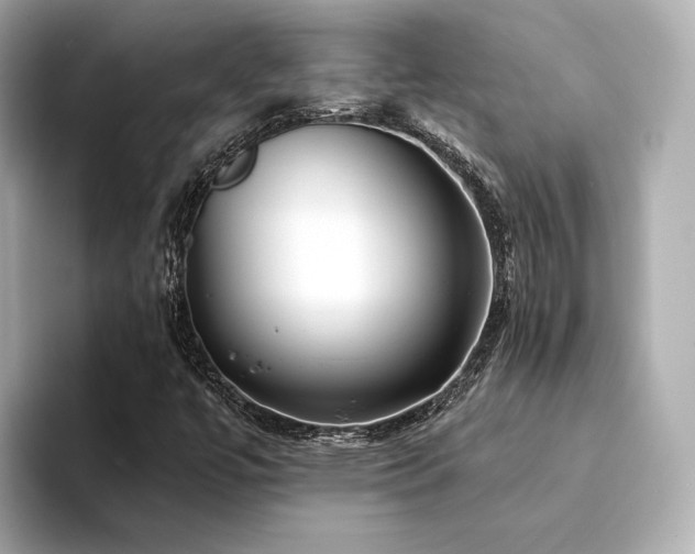 X0000094331447200711021401