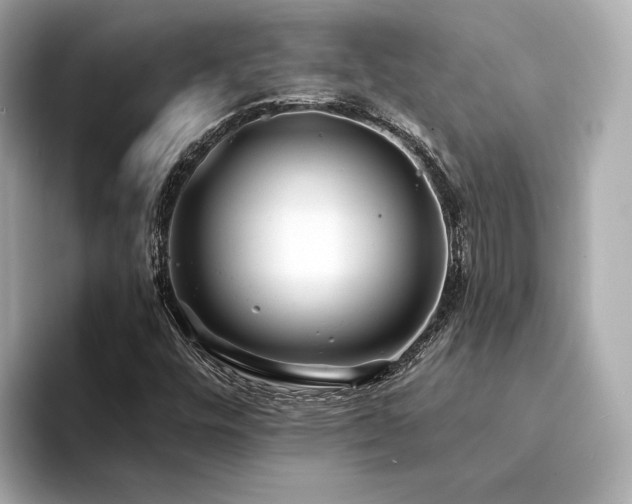 X0000094331448200711021401
