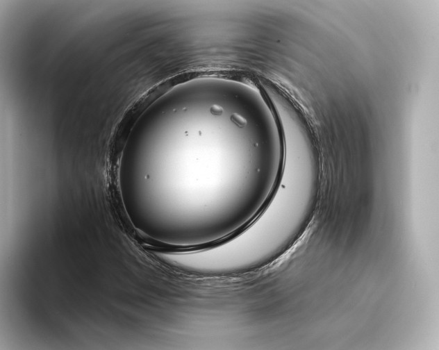X0000094331449200711021401