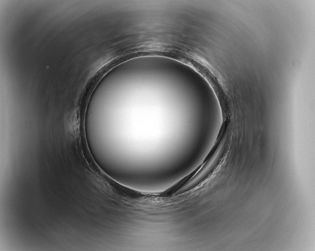 X0000094331450200711021401