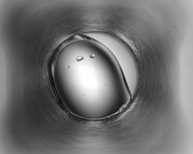 X0000094331453200711021401
