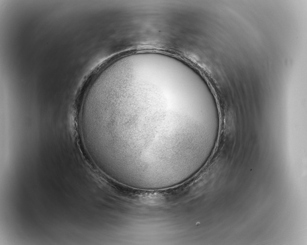 X0000094331454200711021401
