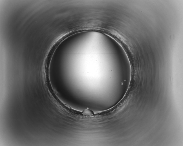X0000094331458200711021401