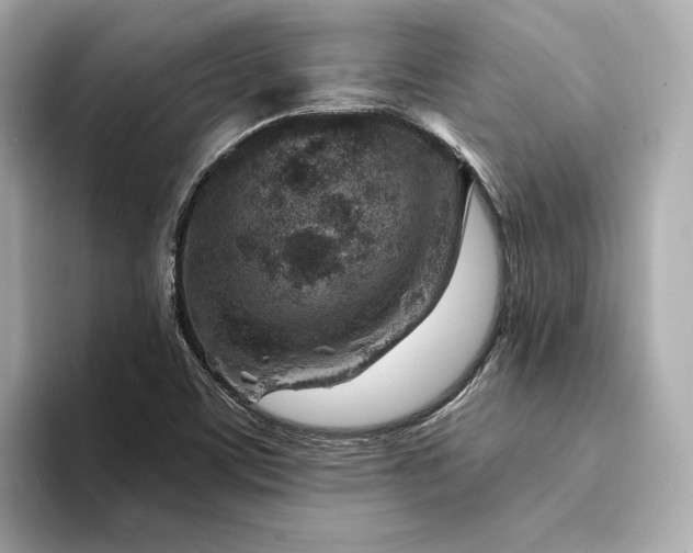 X0000094331459200711021401