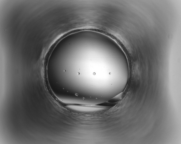 X0000094331460200711021401