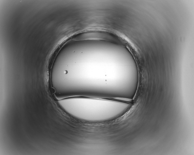 X0000094331461200711021401