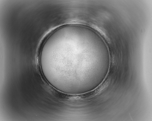 X0000094331462200711021401
