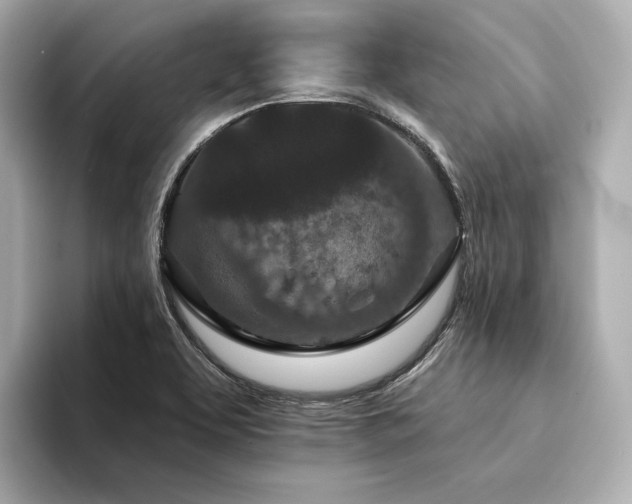 X0000094331463200711021401