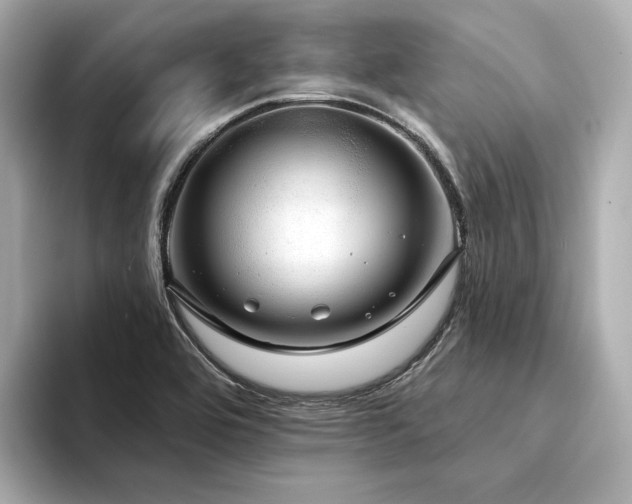 X0000094331464200711021401