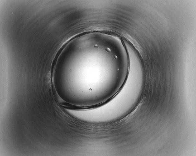 X0000094331465200711021401