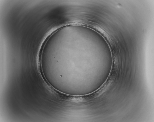X0000094331466200711021401