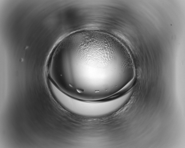 X0000094331467200711021401