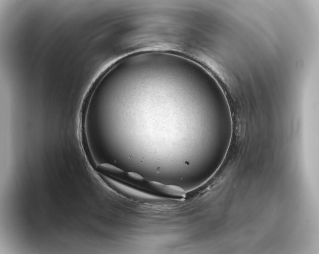X0000094331468200711021401