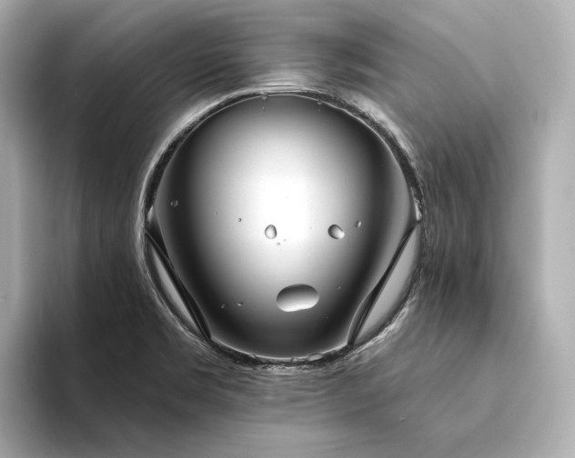 X0000094331469200711021401