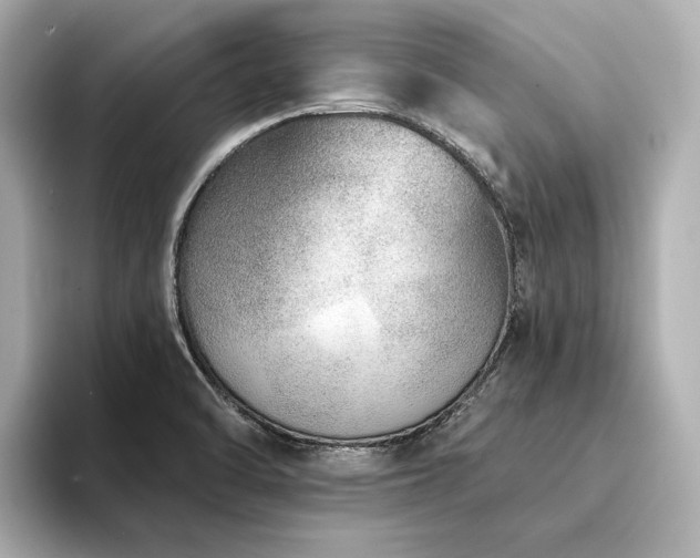 X0000094331470200711021401