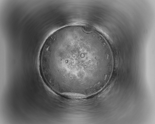 X0000094331471200711021401