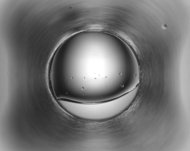 X0000094331475200711021401