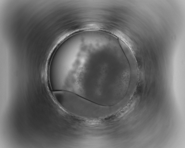 X0000094331477200711021401