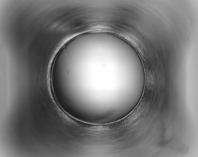 X0000094331478200711021401