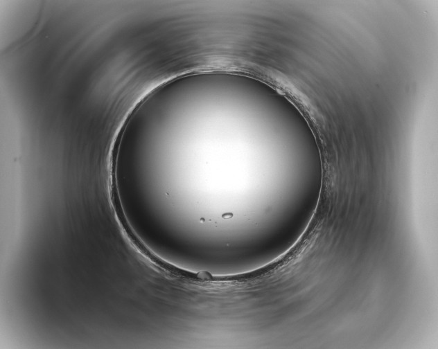 X0000094331479200711021401