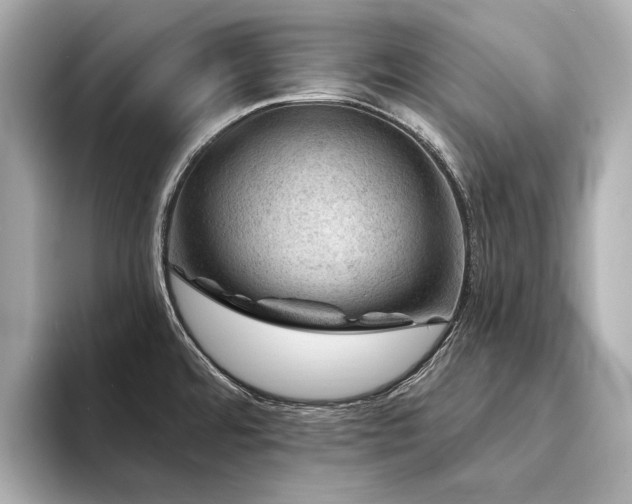 X0000094331480200711021401