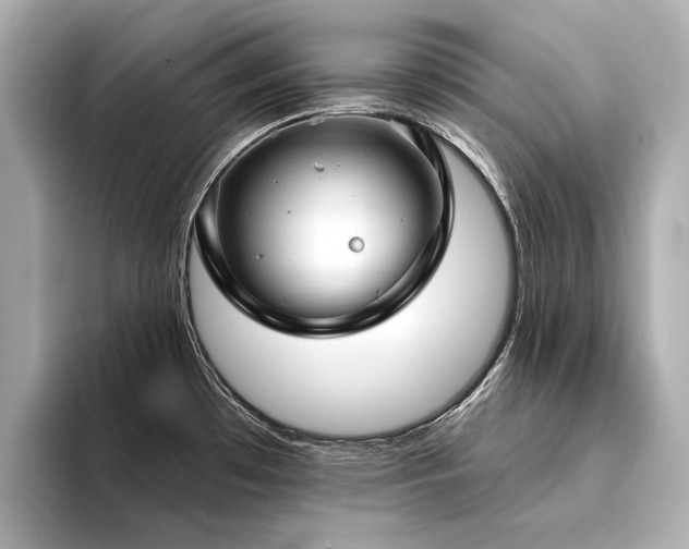 X0000094331481200711021401