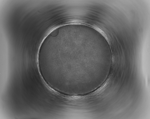X0000094331482200711021401