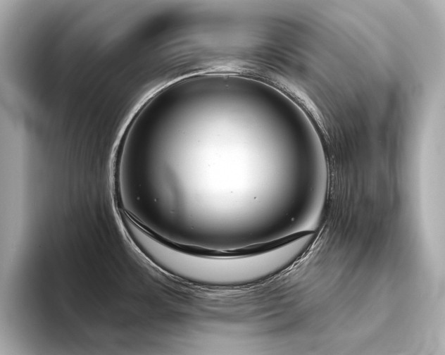 X0000094331483200711021401