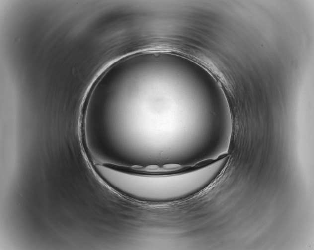 X0000094331484200711021401