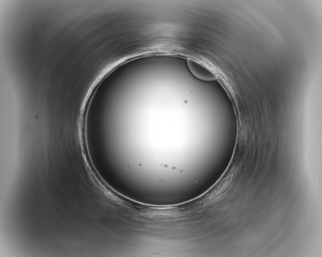 X0000094331486200711021401