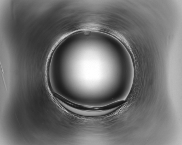 X0000094331488200711021401